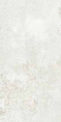LOZZI 1 Porcelain Wall & Floor Tile 24X48