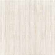 NESI Porcelain Wall & Floor Tile 18X18