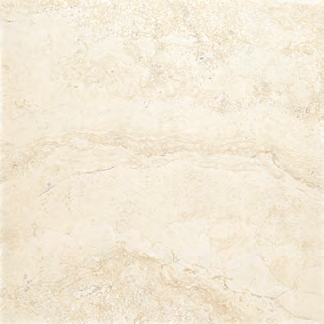PRAVIA Porcelain Wall & Floor Tile 24X24
