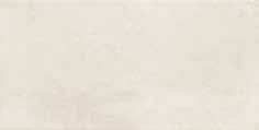 TEMPRE Plain Ceramic Wall Tile 12X24