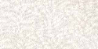 TERRAFORM Ceramic Wall Tile 12X24
